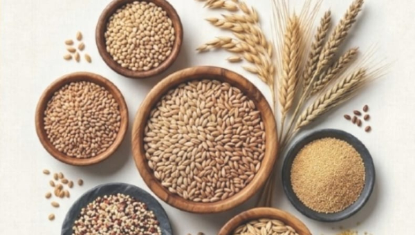Official Release: International Journal of Food (IJF) Vol. 3, No. 2, September 2026 is Now Available